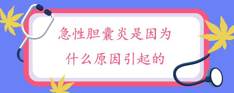 急性胆囊炎是因为什么原因引起的