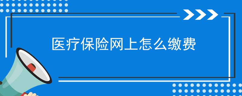 医疗保险网上怎么缴费